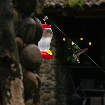 Pura Vista Glamping Hotel El Castillo Bagian luar foto