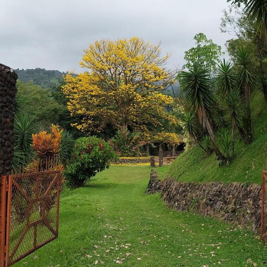 Pura Vista Glamping Hotel El Castillo Bagian luar foto