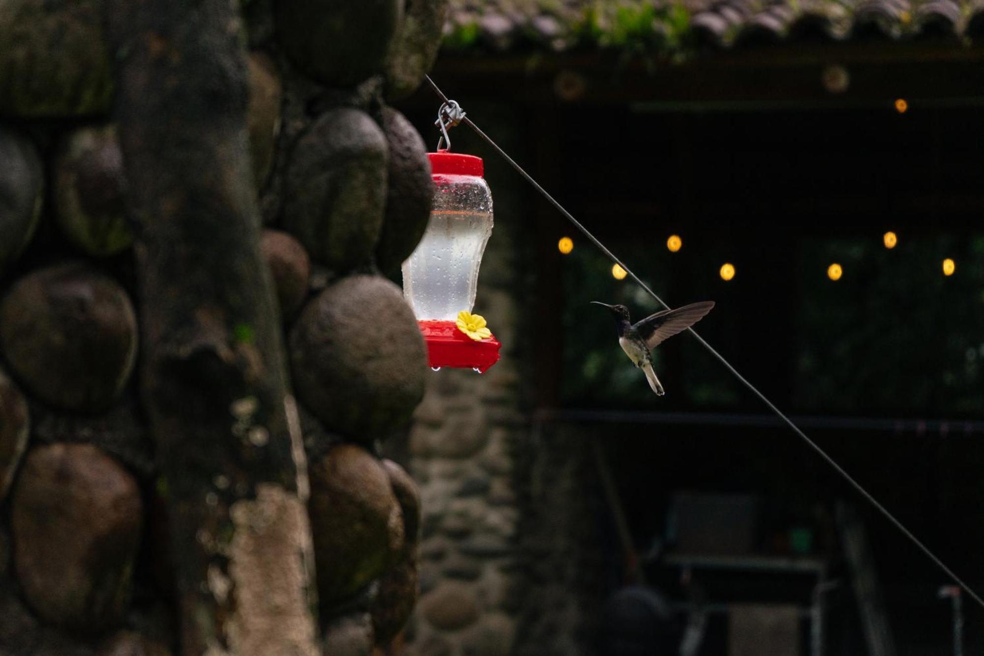 Pura Vista Glamping Hotel El Castillo Bagian luar foto