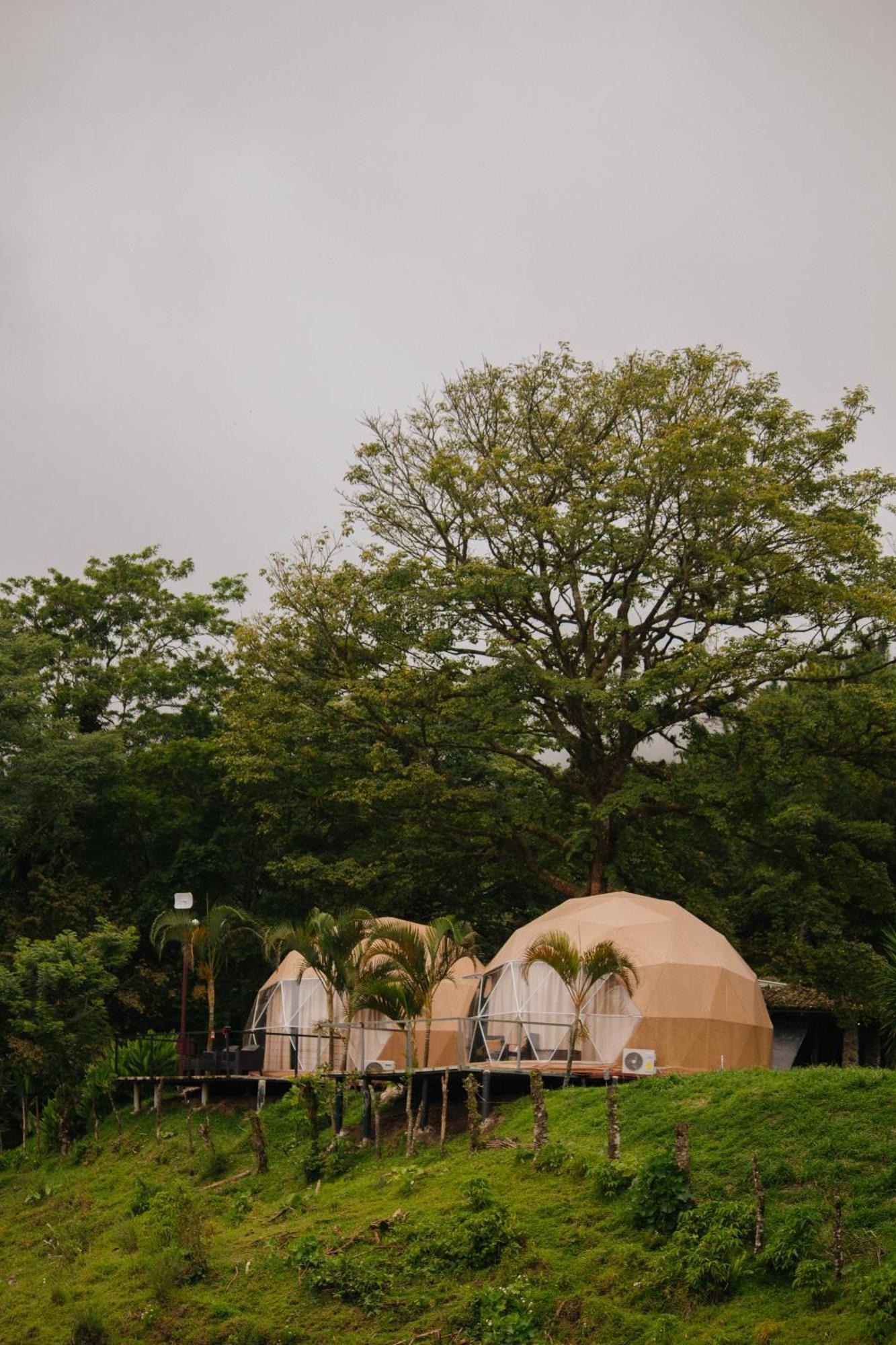 Pura Vista Glamping Hotel El Castillo Bagian luar foto